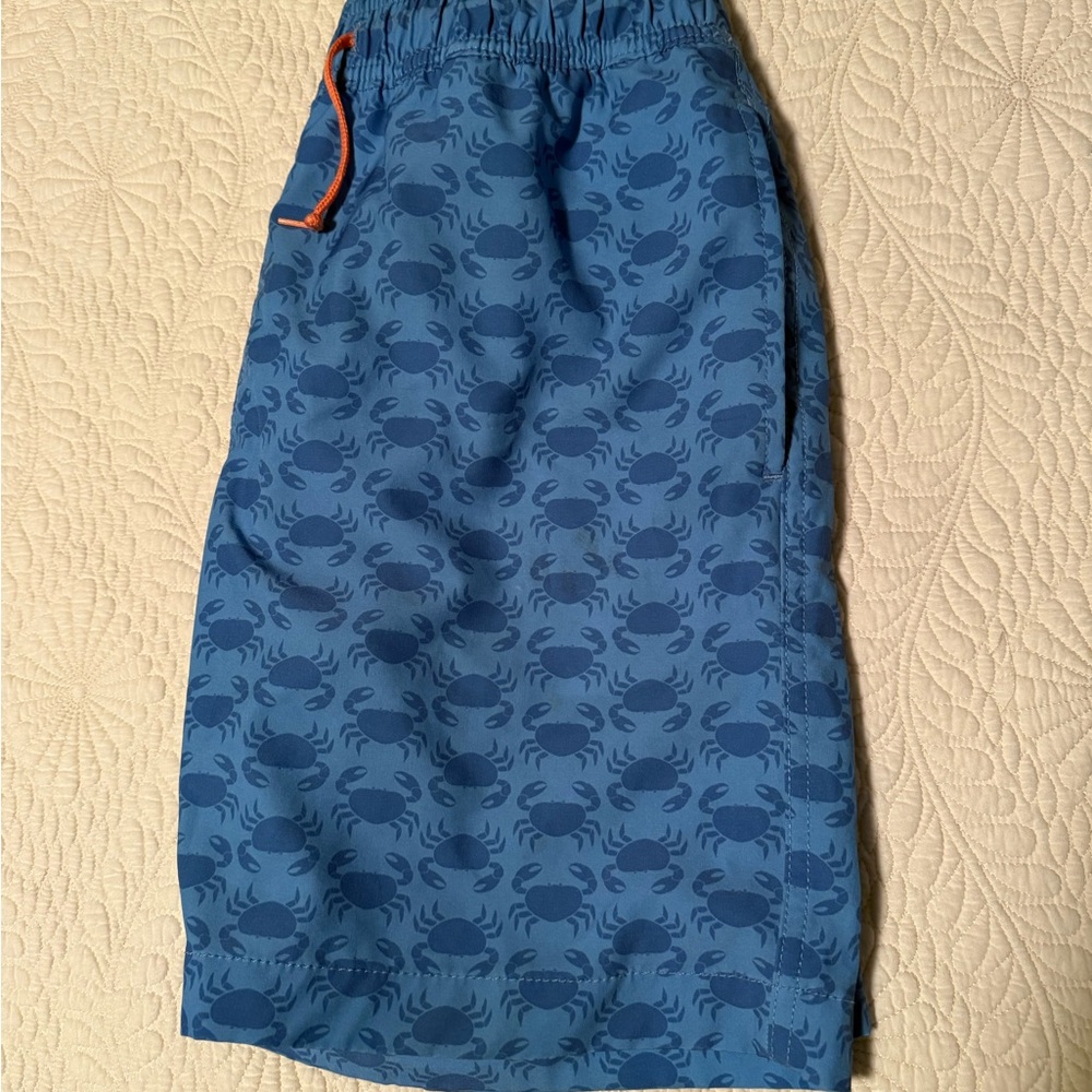 J Crew Crew Cuts swim trunks